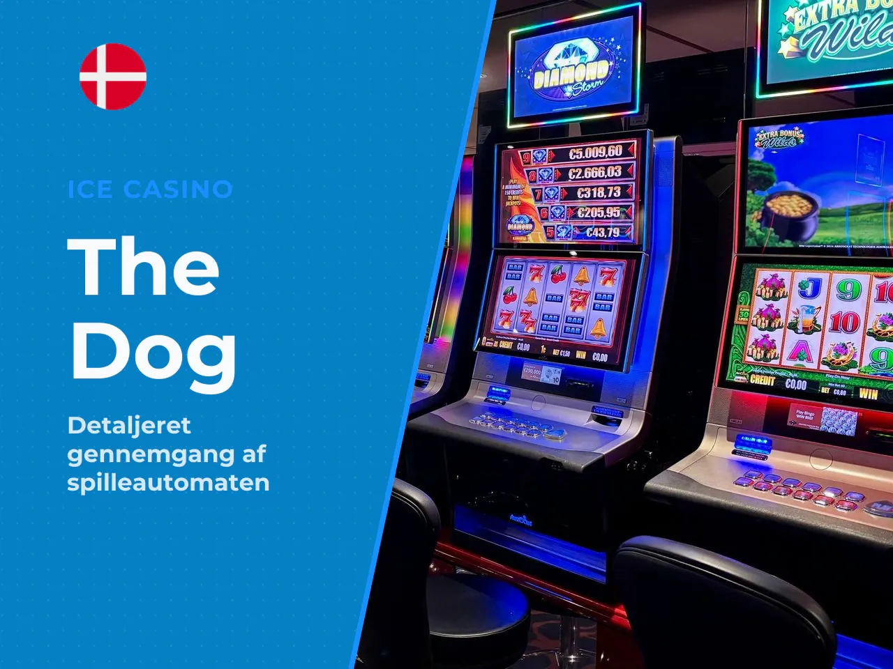 The Dog House slot overblik over