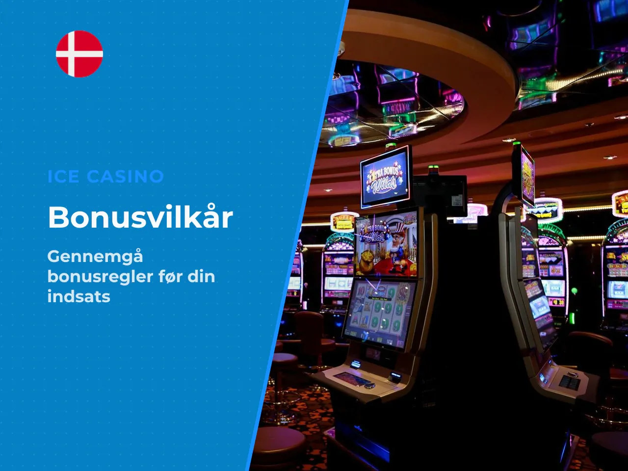 Hvad skal du tjekke i en