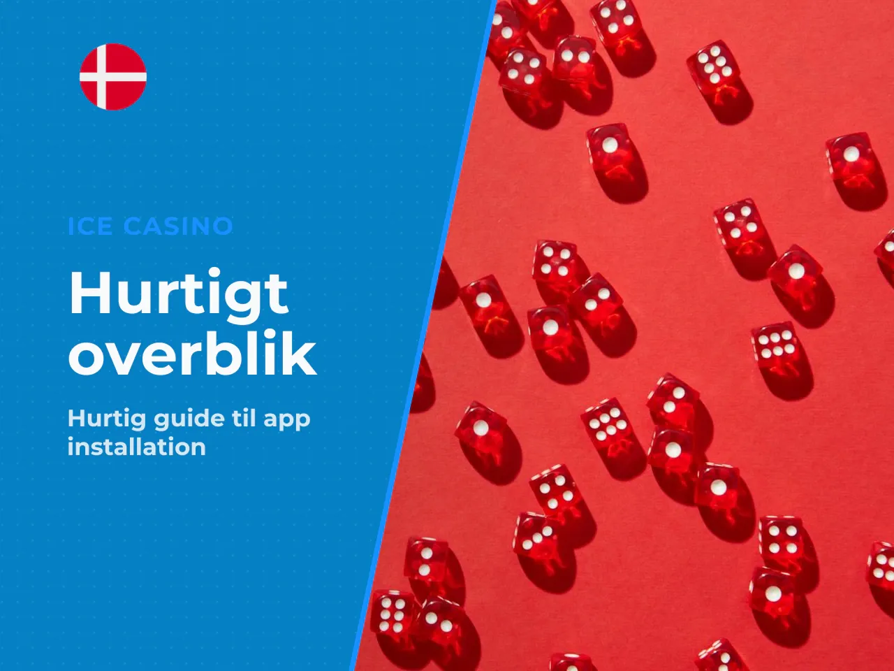 Det korte overblik