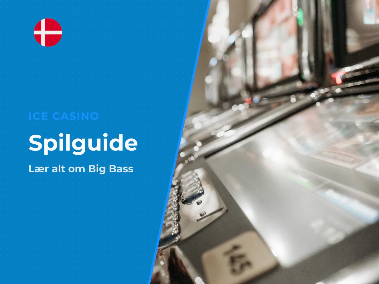 Det vigtigste om Big Bass Bonanza