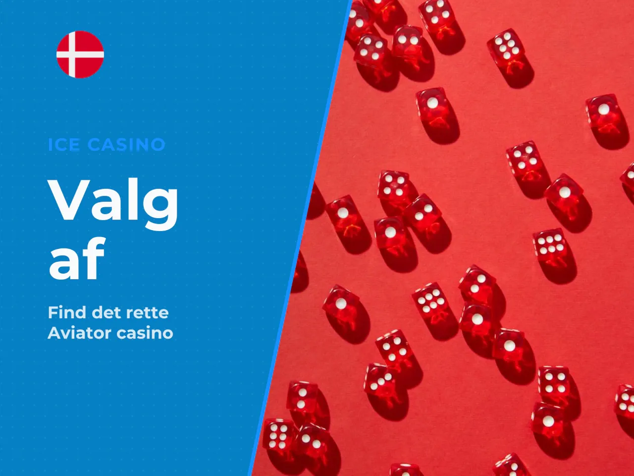 Hvad du skal se efter blandt