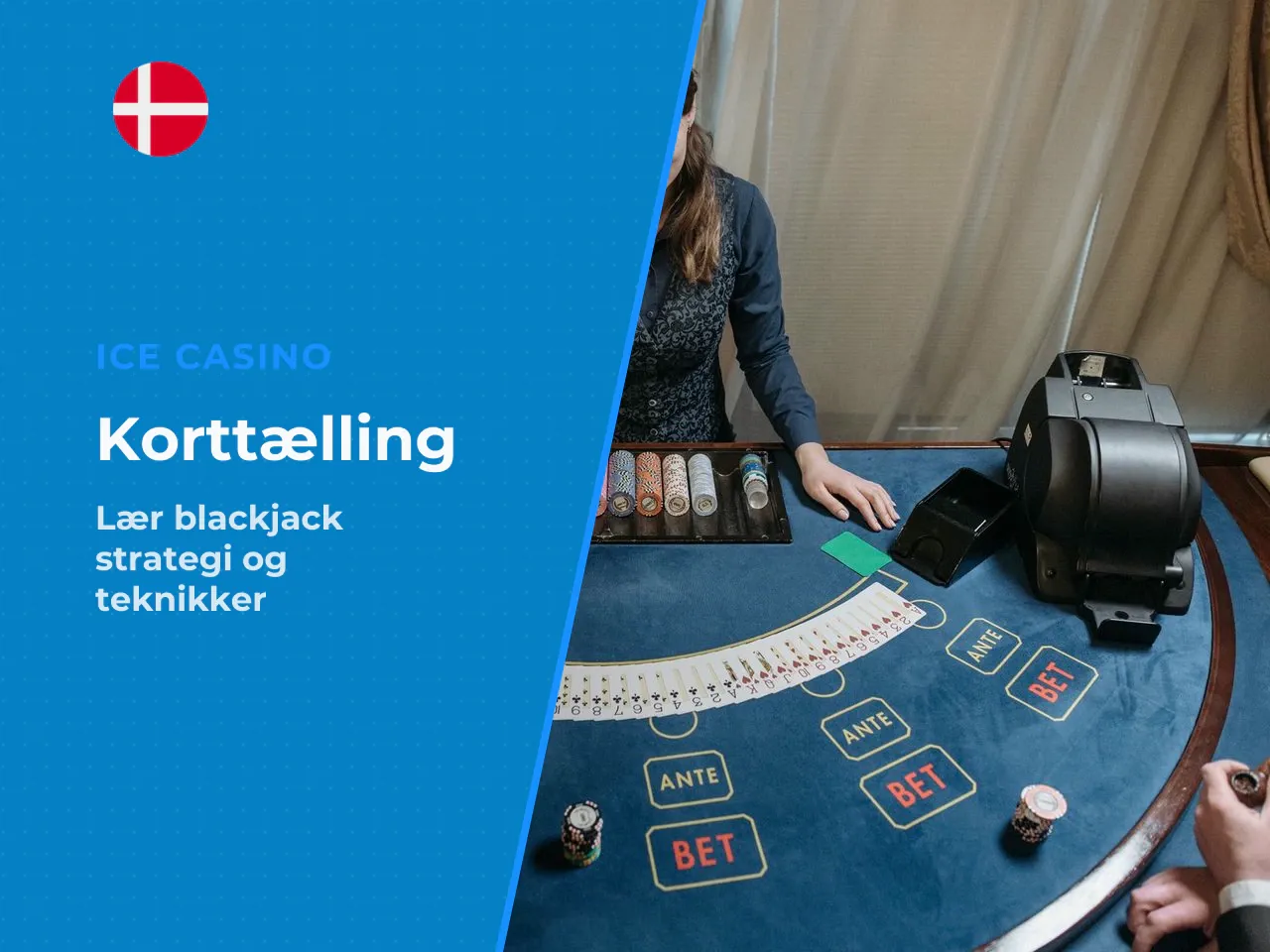 Myten om korttælling fra MIT-holdet til