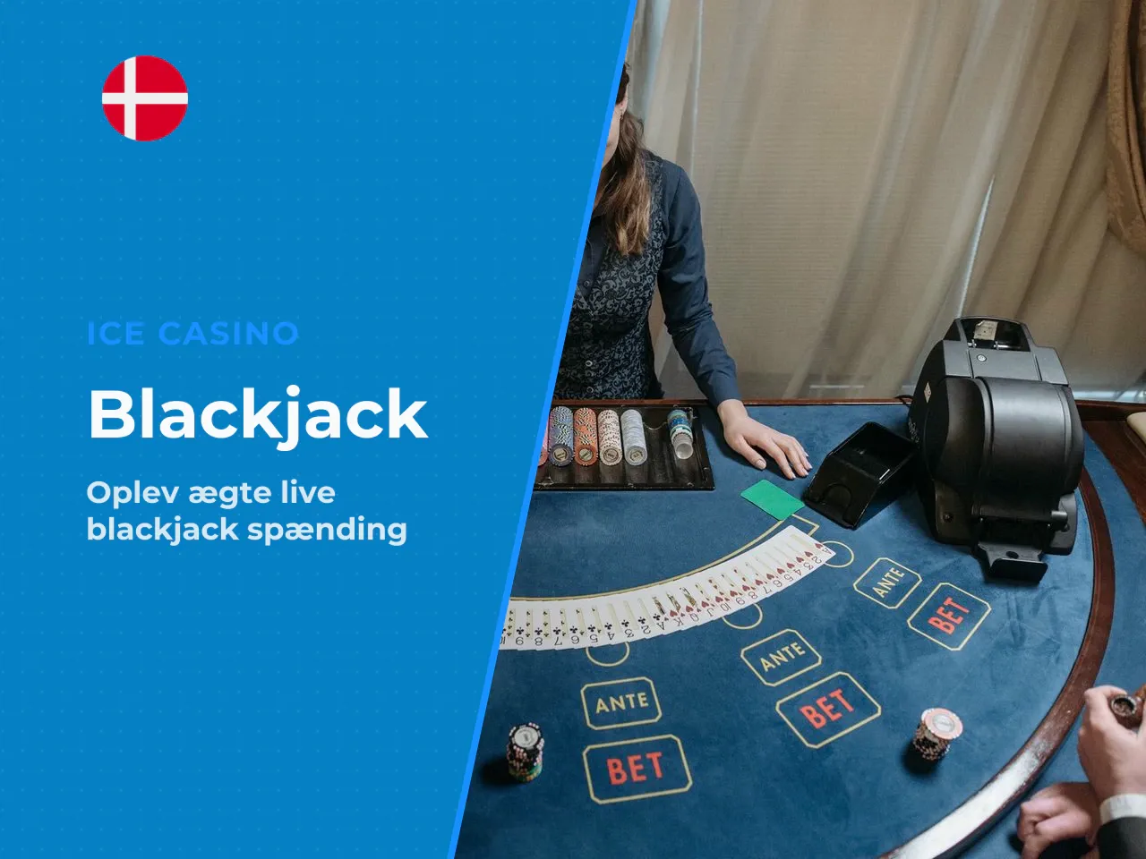 Udvalg af blackjack spil og live